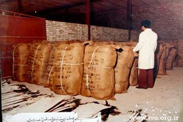 عکس های قدیمی دامپزشکی